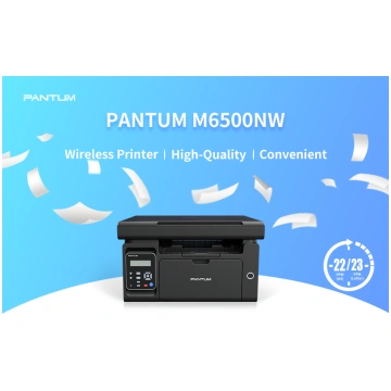 PANTUM M6500NW