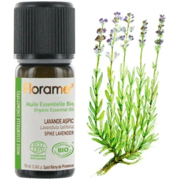 Florame platlapu lavandas (lavandula latifolia) ēt