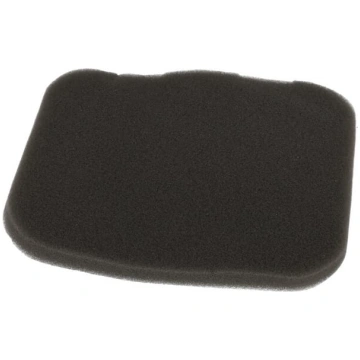 Loncin Gaisa filtra elements 1801302500001