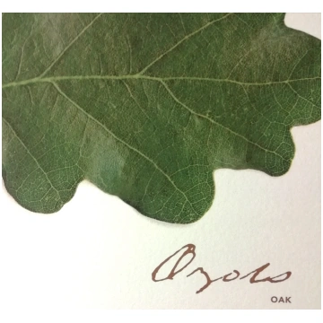 CD "Ozols" Latvija RSO4