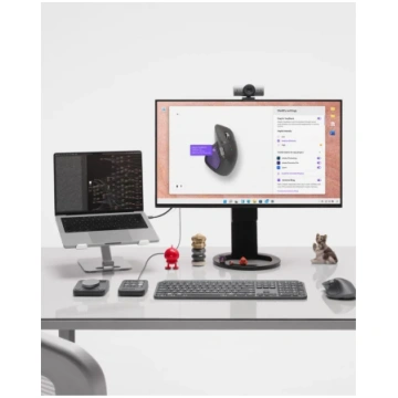 LOGITECH MOUSE USB WRL MX MASTER 4/GRAPHITE 910-00