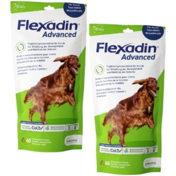 VETOQUINOL Flexadin Advanced 60 kąsków uniwersalny