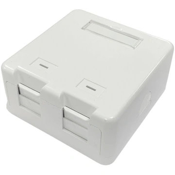 Lanview Surface mount box for 2 x RJ45 jack 570417