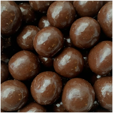 Ērkšķoga tumšajā šokolādē, 100 g