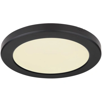 Lampa sufitowa Globo Plafon Globo LASSE LED 12379-