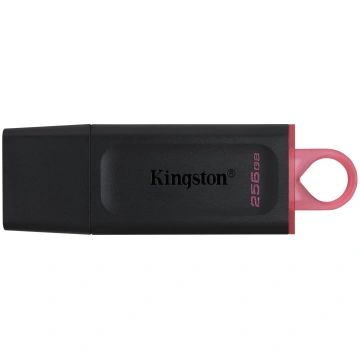 MEMORY DRIVE FLASH USB3.2/256GB DTX/256GB KINGSTON