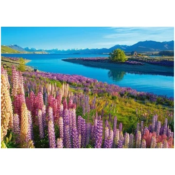 Castorland Puzzle 500 Elements?w Jezioro Tekapo Ja