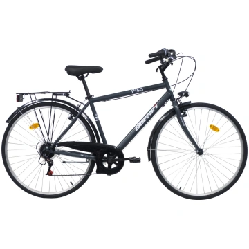 Vīrišķīgs pilsētas velosipēds BOTTARI PISA, 28 izm