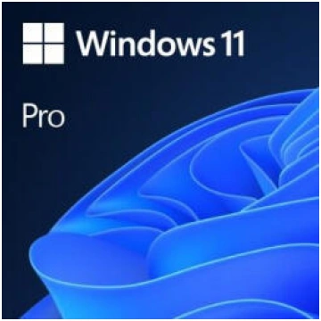Microsoft Windows 11 Pro ENG OEM (FQC-10528)
