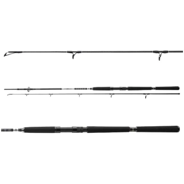 Daiwa BG Pilk 2,40m 40-125g
