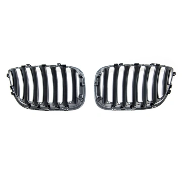 Matt Black Grill for BMW X5 E53 Facelift - Sleek D