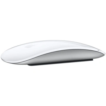 Apple Magic mouse Office Ambidextrous RF Wireless 