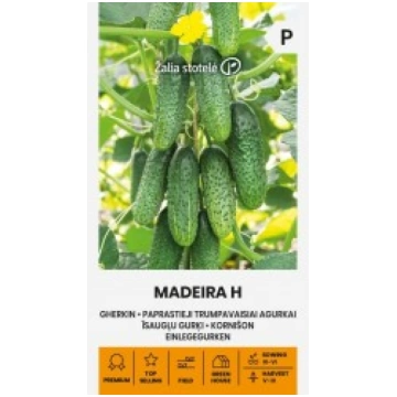 GURĶI ĪSAUGĻU MADEIRA H. GURĶU SĒKLAS 0.4 g ŽALIA 