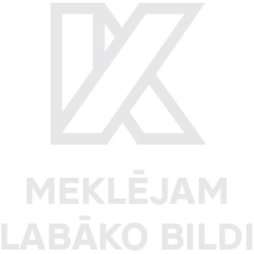 Lāsenis šindeļu jumtiem, 2.5 m
