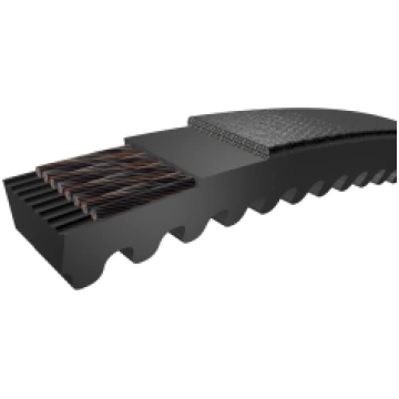 PHG XPA1307 Ķīļsiksna 1307x12.7 SKF