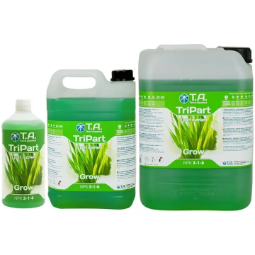 5L Amnesia.lt