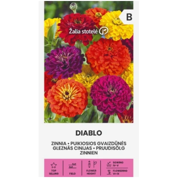 Cinnijas dāliju DIABLO 1g * Darzinam.lv