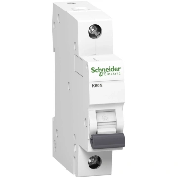 Automātiskais Slēdzis Schneider Electric Acti9 Lit