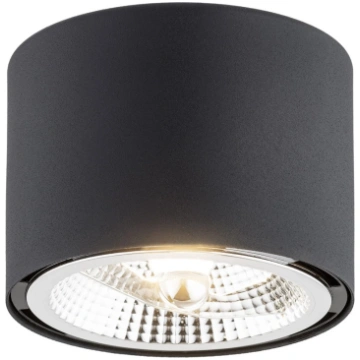 Lampa griesti Argon Clevland 4691, GU10, 1 x 12 W,