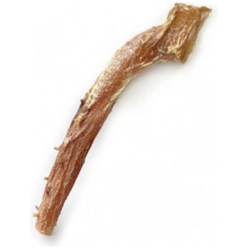 DigDog Liellopa aorta 1gb