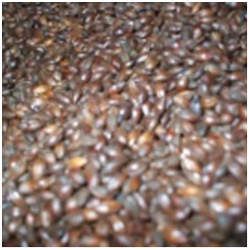 Šokolādes miežu iesals (Vācija) - 1kg IE-038