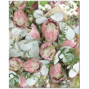 Pink Protea Tea Towel Cathy Joubert