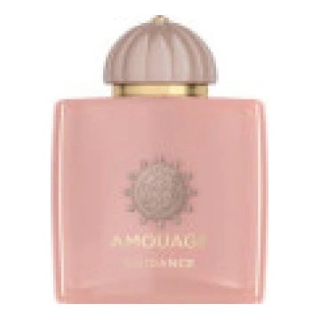 Amouage vadlīnijas EDP 100ml [Guidance]