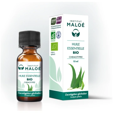 Eikalipts sfērisks (Eucalyptus globulus) BIO ēteri