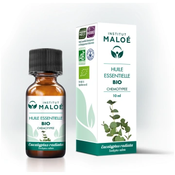Eikalipts Radiata Bio ēteriskā eļļa Eucalyptus rad