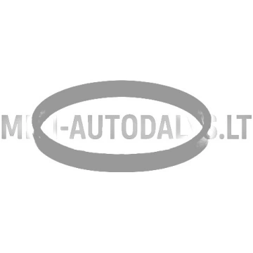 Termostata blīve Lombardini 442 / 480 / 492 DCI Mi