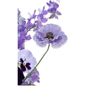 Zīda magone Amazing Grey | Papaver rhoeas sēklas