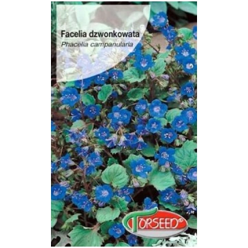 Zvanveida facēlija 0.5 g Torseed 10/2027