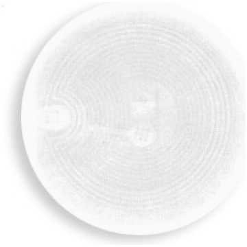 Uzlīme EM RFID
