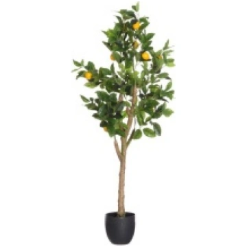 Citronkoks 130cm 4Living 129665