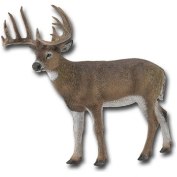 COLLECTA White Tailed briedis (L), 88832 4090201-0