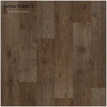 Activa Dublin 2 1šķ. 1353_24921