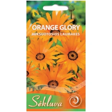 Dimorphoteca Orange Glory sēklas 0,5gr Sēkluva