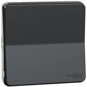 Schneider Electric impulsa slēdzis z/a (meh) 10A a
