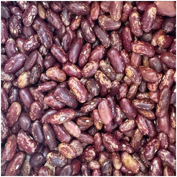 Pupiņas sarkanās, BIO, 100g