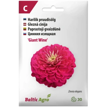 CINNIJAS GIANT WINE 30S