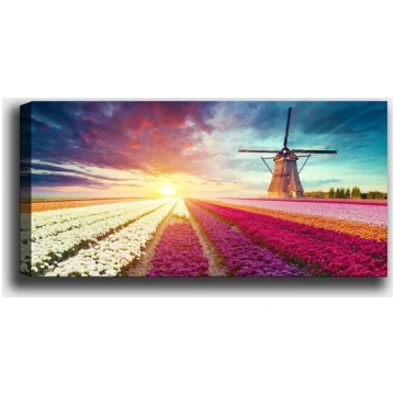 Reprodukcija Dzirnavas ziedu laukā
