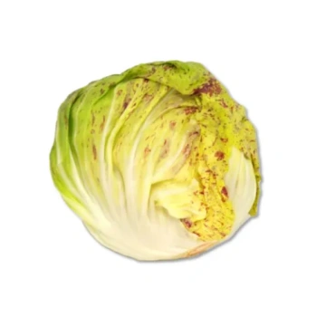 Radicchio Variegato Bio