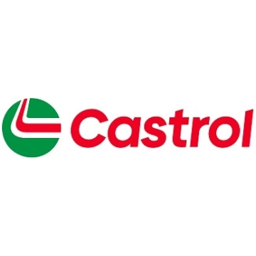 CASTROL MAGNATEC 0W30 D 1L