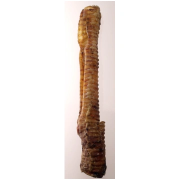 Liellopu traheja 30 cm 1 gb