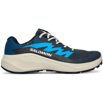 Skriešanas apavi Salomon Alphaglide Gtx L47975100 