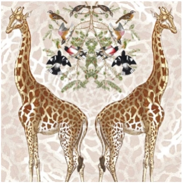 Museums amp; Galleries Karnet kwadrat Giraffe z ko
