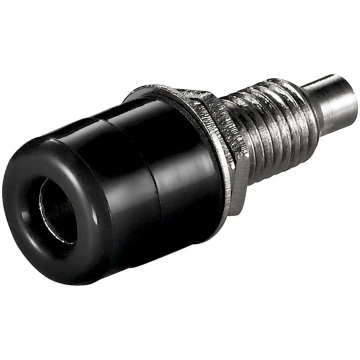 audio banāni