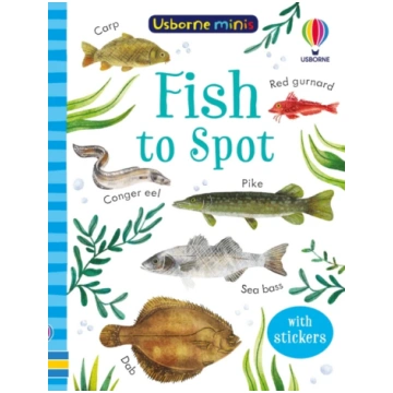 Fish to Spot Kate Nolan