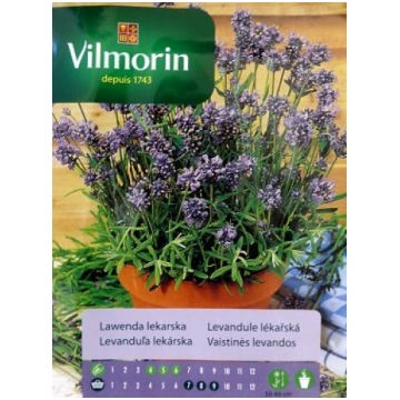 Ārstnieciskā jeb parastā lavanda 200 mg Vilmorin (