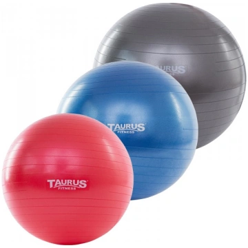 Taurus Gymnastics balls